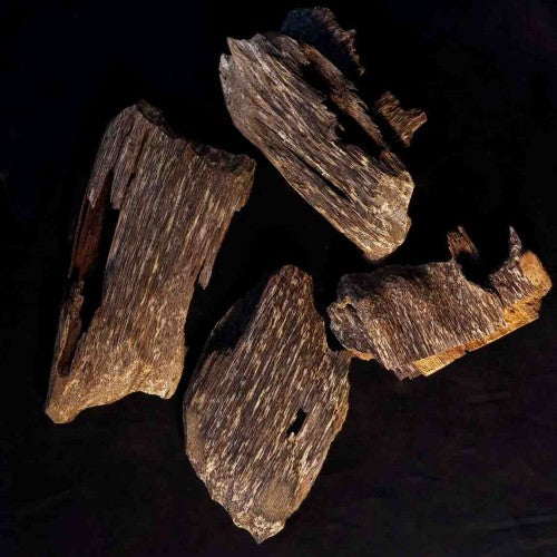 كينج وود (فييتنام)