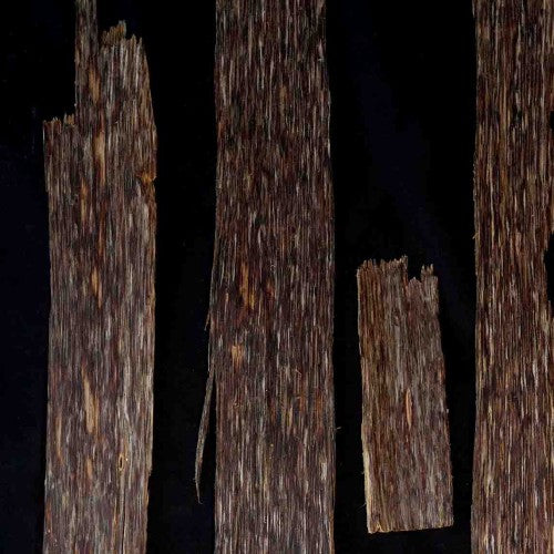 سليم سوفي وود (فييتنام)
